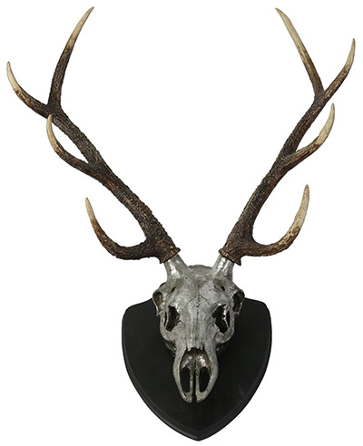 Antlers Wall Hanging